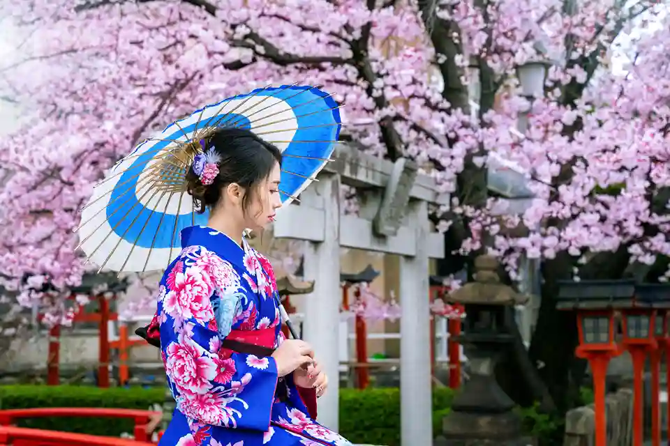 Japan Visa